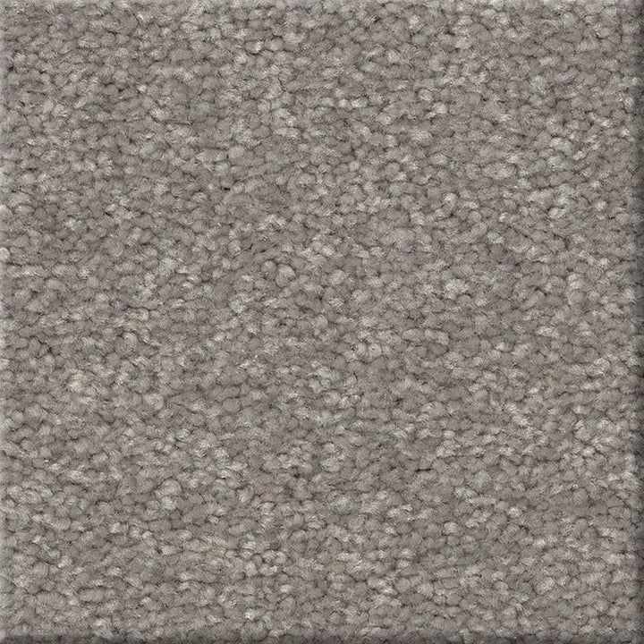 STAINMASTER Essentials Blue Diamonds I 12-ft Dusty Trail Textured Carpet Sample (Interior)