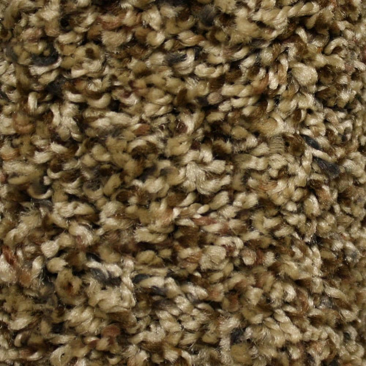 STAINMASTER Essentials Cadiz Purley Oaks Textured Carpet (Indoor)
