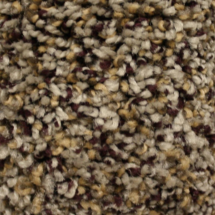 STAINMASTER Essentials Cadiz North Downs Textured Carpet (Indoor)