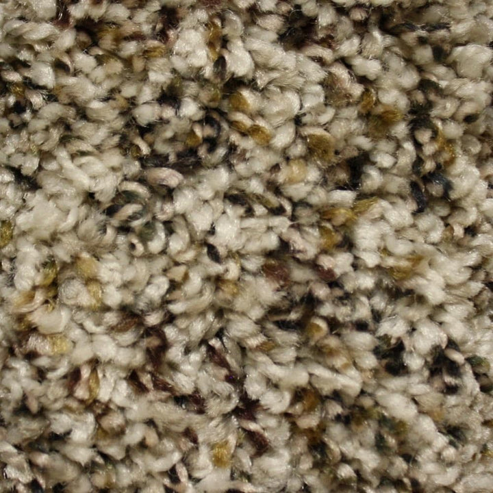STAINMASTER Essentials Cadiz Landmark Textured Carpet (Indoor) - 12-ft Roll Width