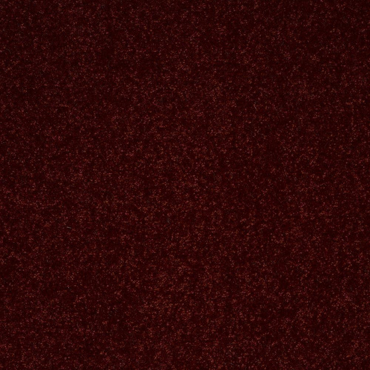 STAINMASTER Essentials Intuition II 15-ft Apache Red Textured Indoor Carpet