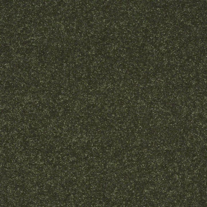 STAINMASTER Essentials Intuition III 12-ft Passion Vine Textured Carpet (Indoor)