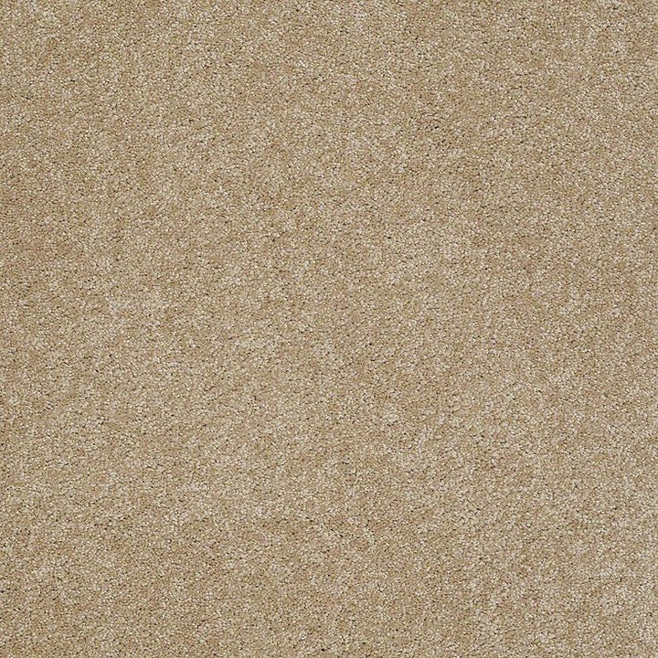 STAINMASTER PetProtect Baxter I Boxer Textured Carpet (Indoor)