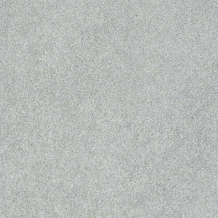 STAINMASTER PetProtect Baxter I Retriever Textured Indoor Carpet, 12-ft Roll Width