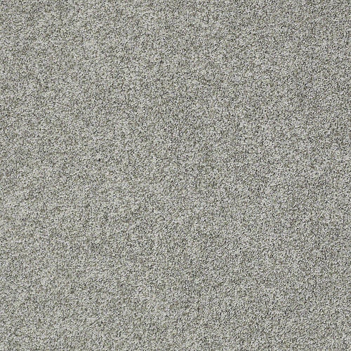 STAINMASTER PetProtect Baxter I Roscoe Textured Indoor Carpet, 12-ft Wide