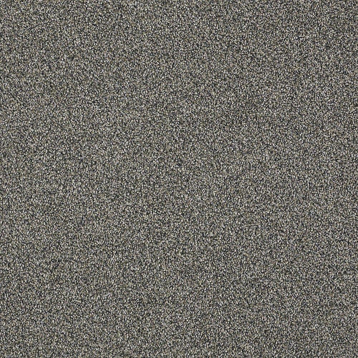 STAINMASTER PetProtect Baxter II Schnauzer Textured Carpet (Indoor) - 12-ft Width