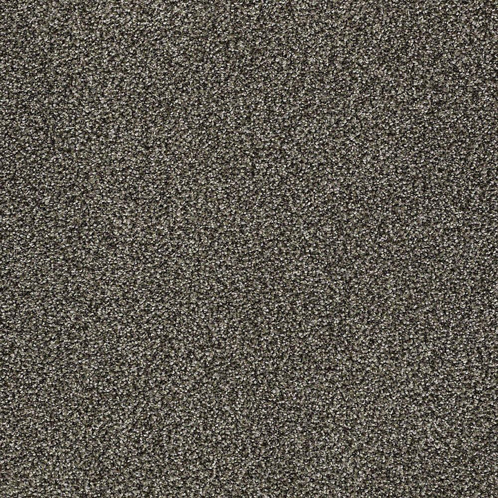 STAINMASTER PetProtect Baxter I Doberman Textured Carpet (Indoor) - 12-ft Roll Width