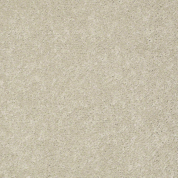 STAINMASTER PetProtect Baxter I Sadie Textured Indoor Carpet, 12-ft Roll Width