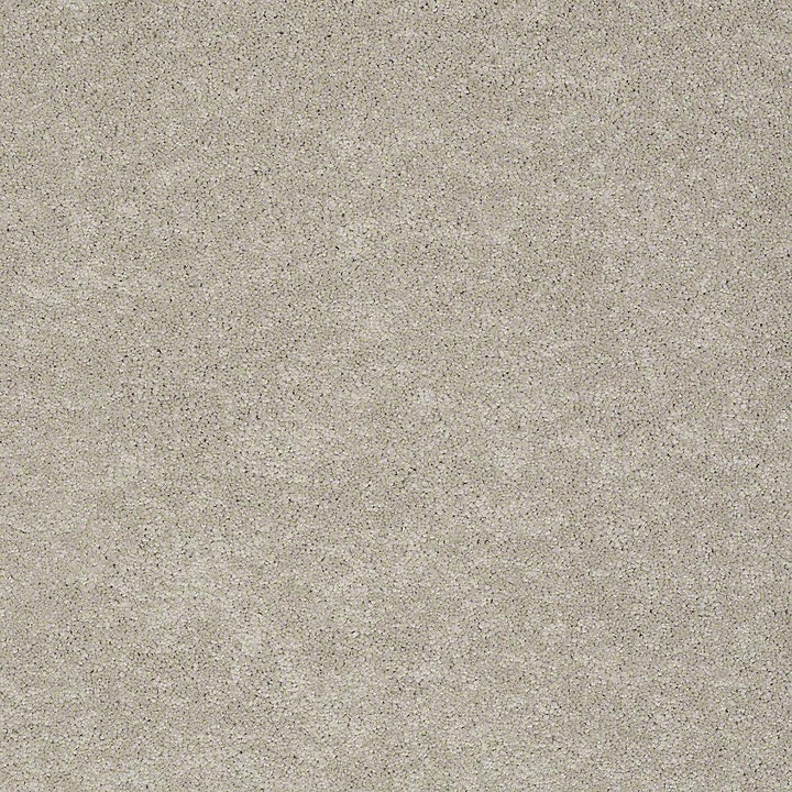 STAINMASTER PetProtect Baxter II Harley Textured Indoor Carpet, 12-ft W, Cut-to-Length