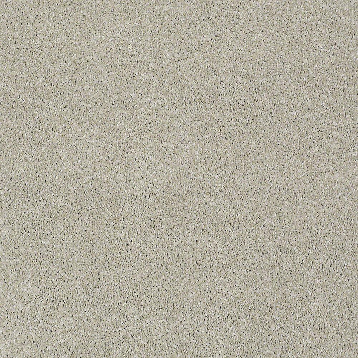 STAINMASTER PetProtect Baxter II Marmaduke Textured Carpet (Indoor, 12-ft Roll Width)