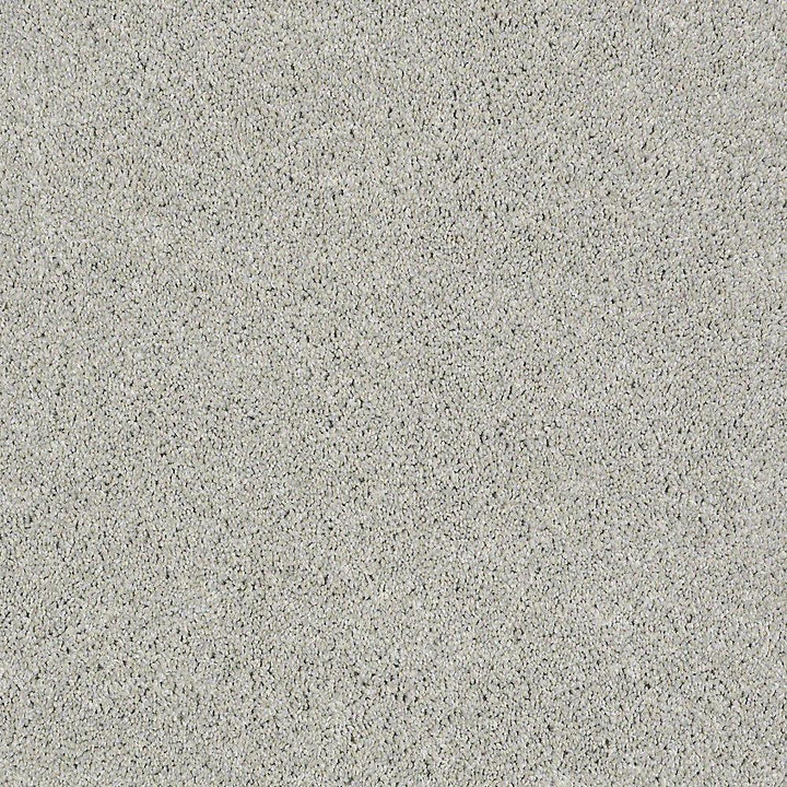 STAINMASTER PetProtect Baxter I Gizmo Textured Indoor Carpet, 12-ft Roll Width