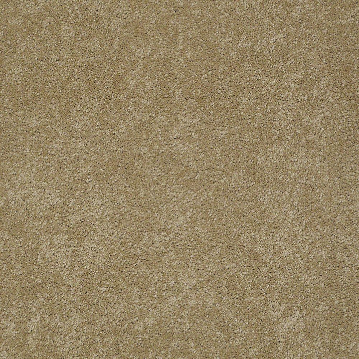 STAINMASTER PetProtect Baxter I Molly Textured Carpet (Indoor, 12-ft Roll Width)