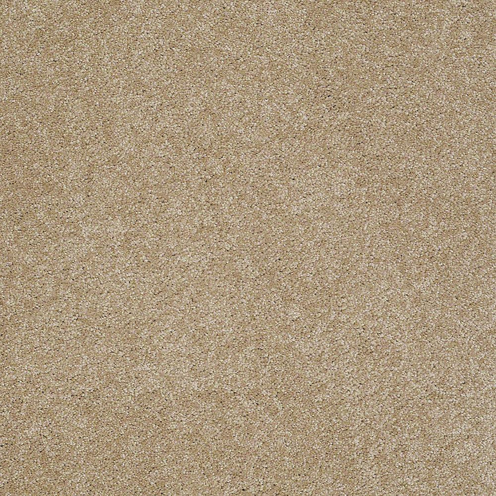 STAINMASTER PetProtect Baxter IV Boxer Textured Carpet (Indoor, 12-ft Roll Width)