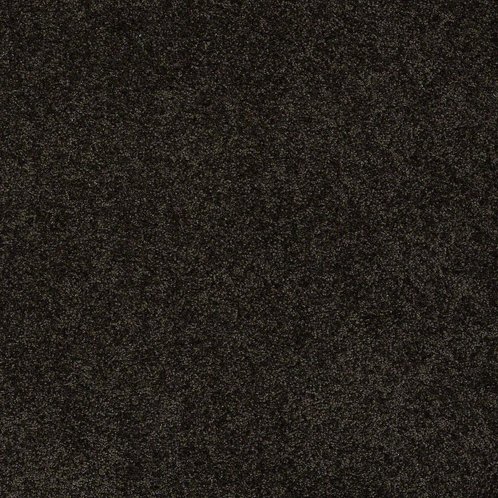 STAINMASTER PetProtect Baxter II Bear Textured Carpet (Indoor), 12-ft Roll Width