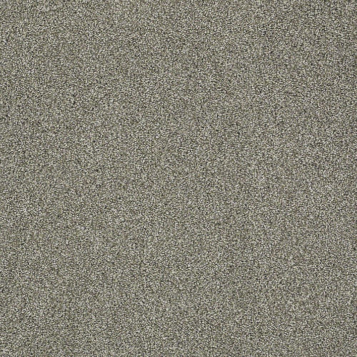 STAINMASTER PetProtect Baxter I Bentley Textured Carpet (Indoor) — 12-ft Roll Width
