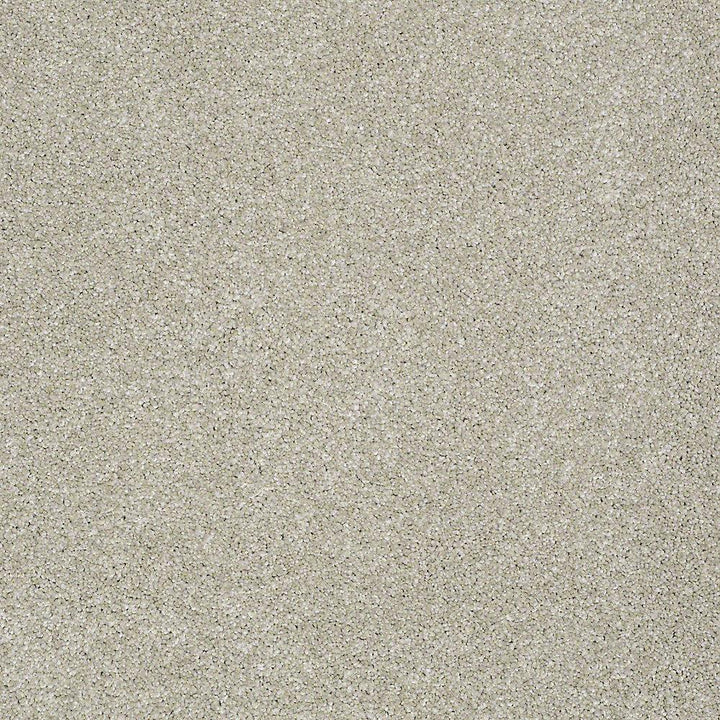 STAINMASTER PetProtect Baxter III Marmaduke Textured Indoor Carpet - 12-ft Roll Width