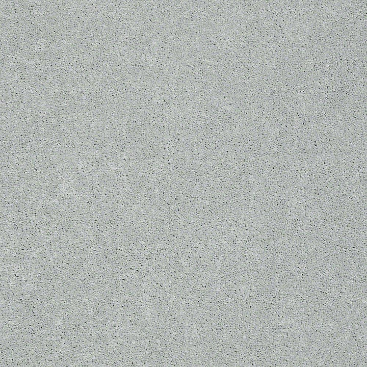 STAINMASTER PetProtect Baxter III Rex Textured Indoor Carpet, 12-ft Roll Width