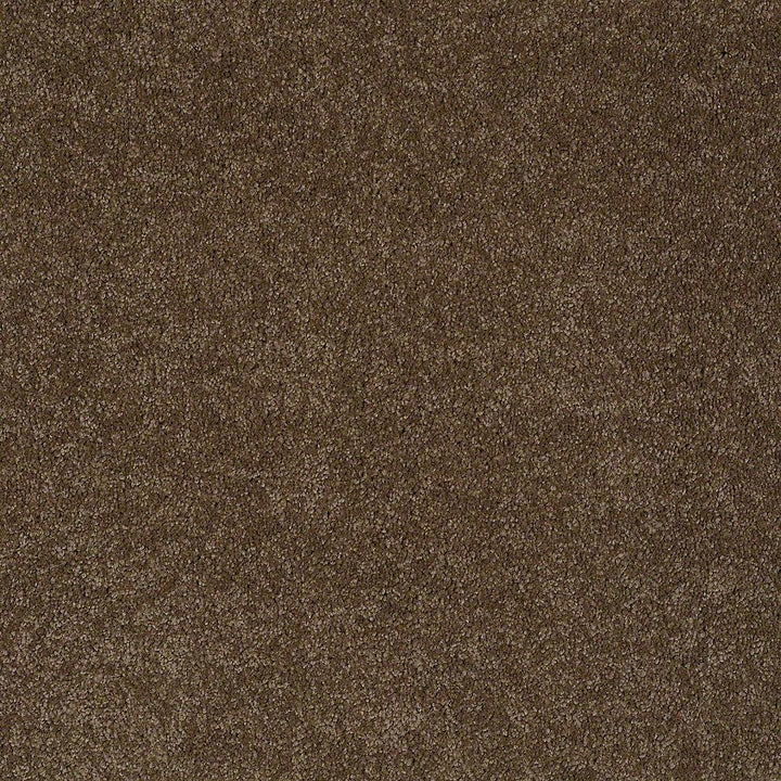 STAINMASTER PetProtect Baxter II Labrador Textured Carpet (Indoor) - 12-ft Roll Width