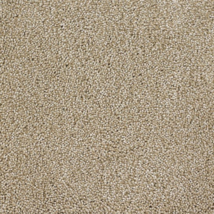 STAINMASTER Signature Briar Patch Avalon Textured Indoor Carpet, 12-ft Roll Width, 46-oz Face Weight