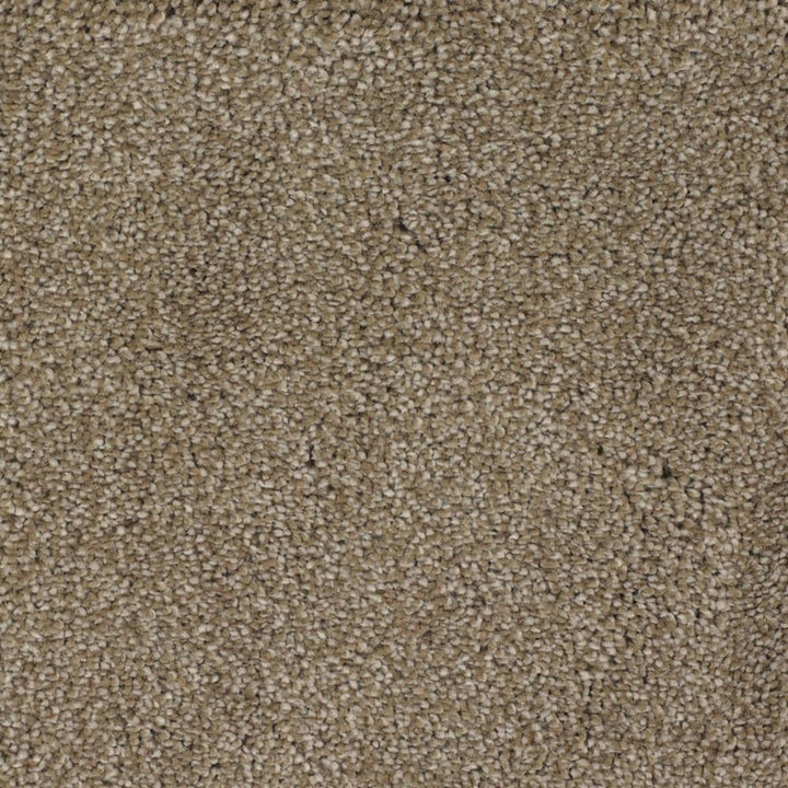 STAINMASTER Signature Briar Patch Donner Textured Indoor Carpet – 12-ft Roll Width, 46-oz Face Weight