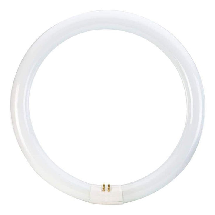 32-Watt 12 in. Linear T9 Circline Fluorescent Tube Light Bulb Bright White (3000K)