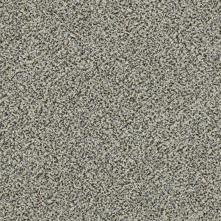 STAINMASTER PetProtect Mineral Bay I 12-ft Tidal Wave Textured Carpet Sample (Interior)
