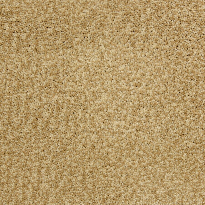 STAINMASTER PetProtect Magnetic Heirloom Textured Carpet Sample, 6-in x 6-in (Interior)