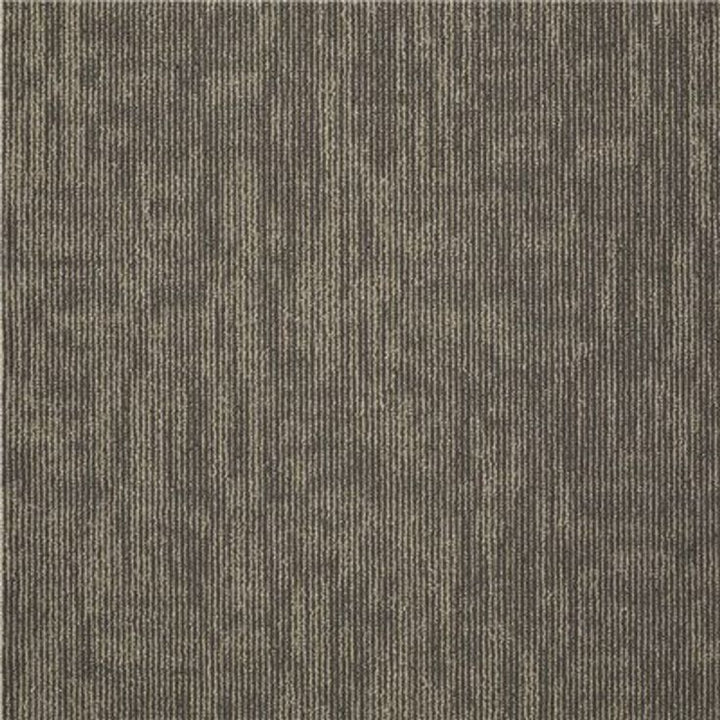 Shaw Graphix Canyon Shadow Loop Commercial 24 in. x 24 in. Glue Down Carpet Tile (12-tile / case)