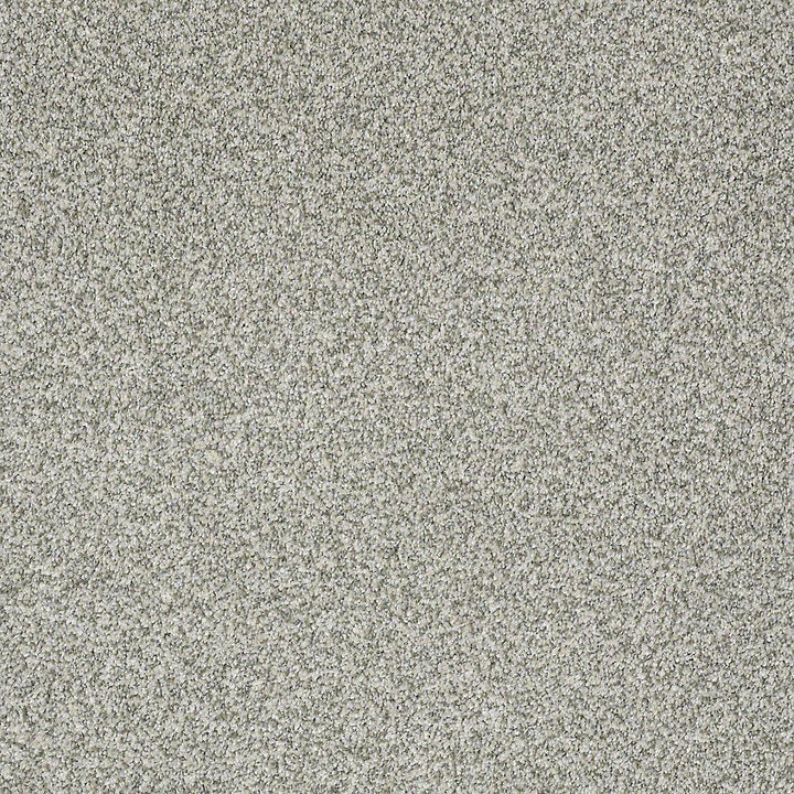 STAINMASTER PetProtect Baxter III Trixie 12-ft Textured Indoor Carpet