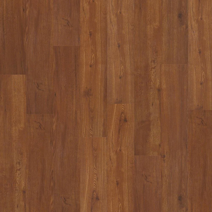 Shaw (Sample) Triad Russet Brown Wood Look 12-mil Waterproof Glue Down Luxury Vinyl Plank
