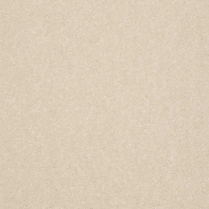 STAINMASTER Essentials Intuition I 12-ft Feather Down Textured Carpet Sample (Interior)