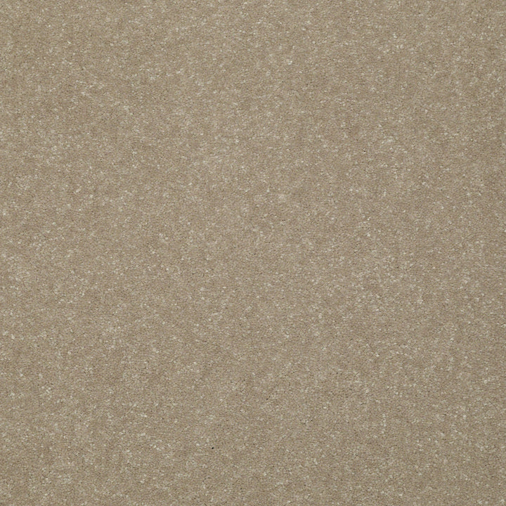 STAINMASTER Essentials Intuition III 12-ft Wheat Bread Textured Carpet Sample (Interior)
