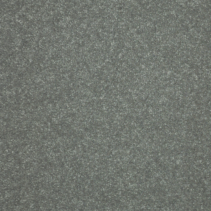 STAINMASTER Essentials Intuition III 12-ft Thunder Cloud Textured Carpet Sample (Interior)