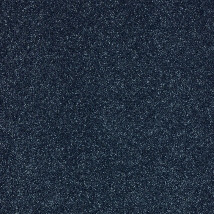 STAINMASTER Essentials Intuition II 12-ft Blue Textured Carpet Sample (Interior)