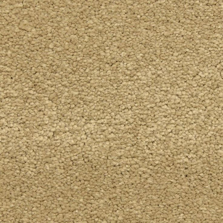 STAINMASTER LiveWell Fairy-Tale Alice Textured Carpet Sample (Interior)