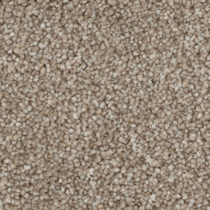 STAINMASTER Beatitude Elsewhere Textured Carpet Sample (Interior), 8-in x 8-in
