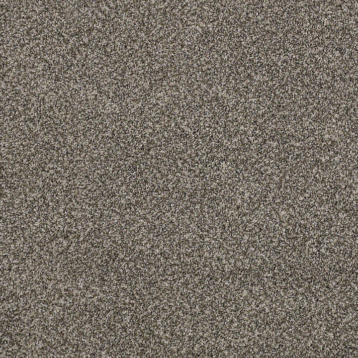 STAINMASTER PetProtect Mineral Bay II 12-ft Pelican Textured Carpet Sample (Interior)