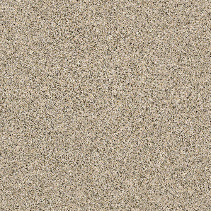 STAINMASTER PetProtect Mineral Bay I 12-ft Sun Kissed Textured Carpet Sample (Interior)