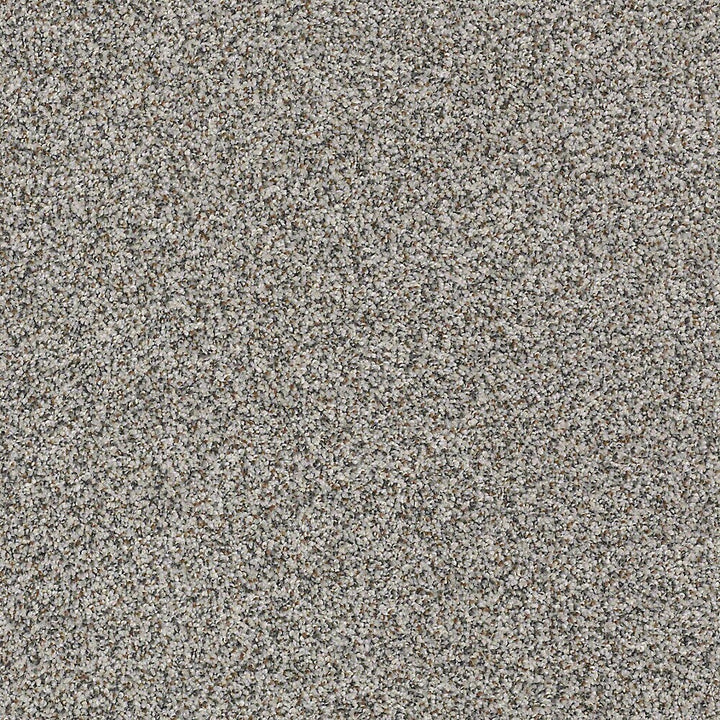 STAINMASTER PetProtect Mineral Bay II 12-ft Harbor Mist Textured Carpet Sample (Interior)