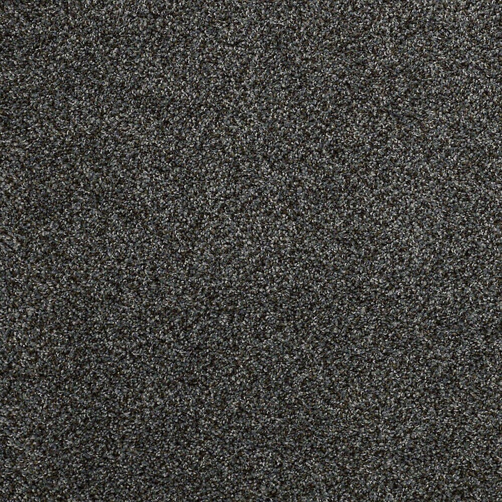 STAINMASTER PetProtect Mineral Bay I 12-ft Inlet Textured Carpet Sample (Interior)