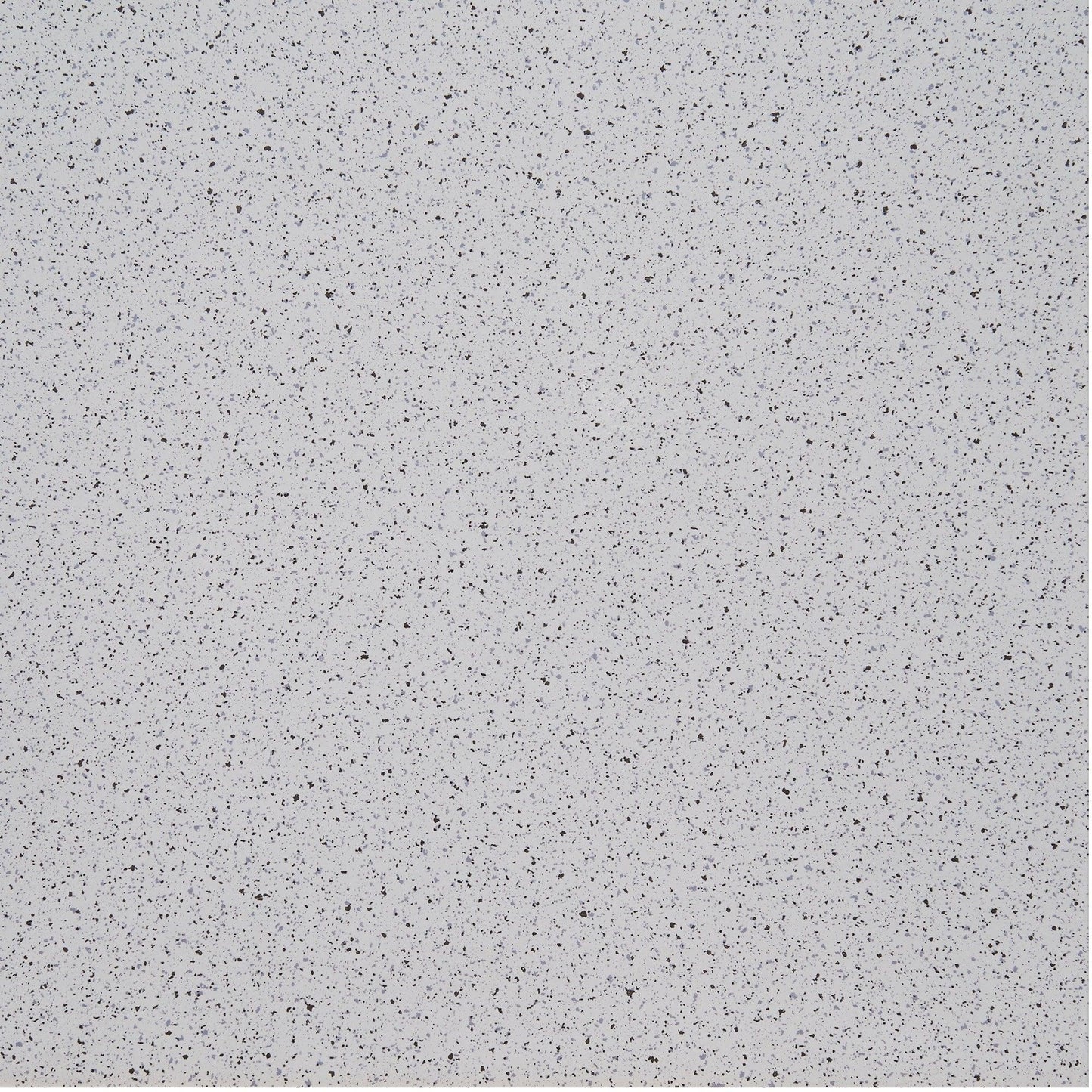 14237312_-1862827403.jpg