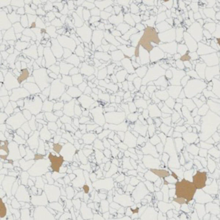 Flexco Toasted Coconut Off-white Speckle 12-in W x 12-in L Glue Down Vinyl Tile Flooring (1-sq ft/ Piece)