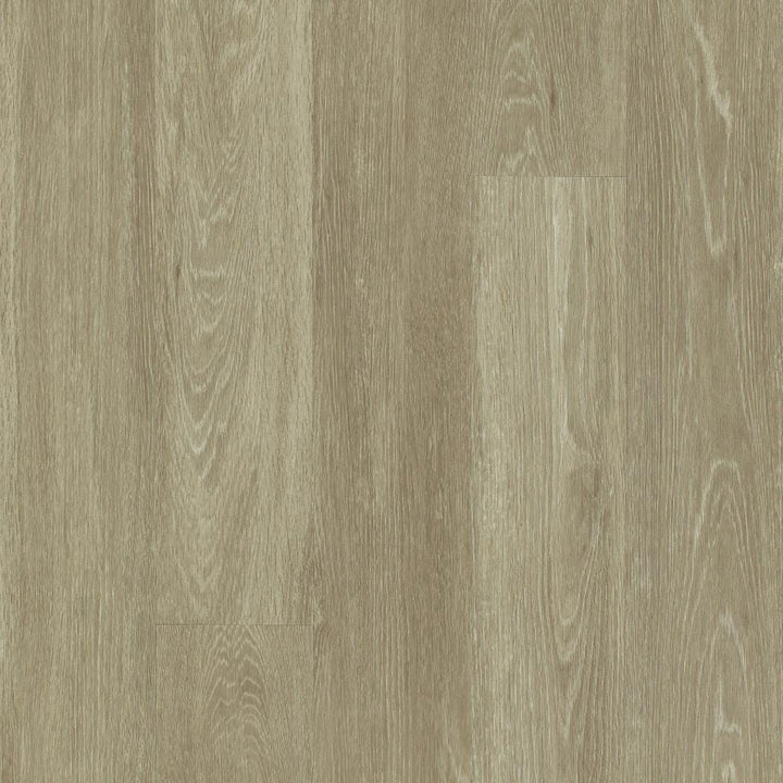 Shaw (Sample) Westwork Cast Brown Wood Look 12-mil Waterproof Glue Down Luxury Vinyl Plank
