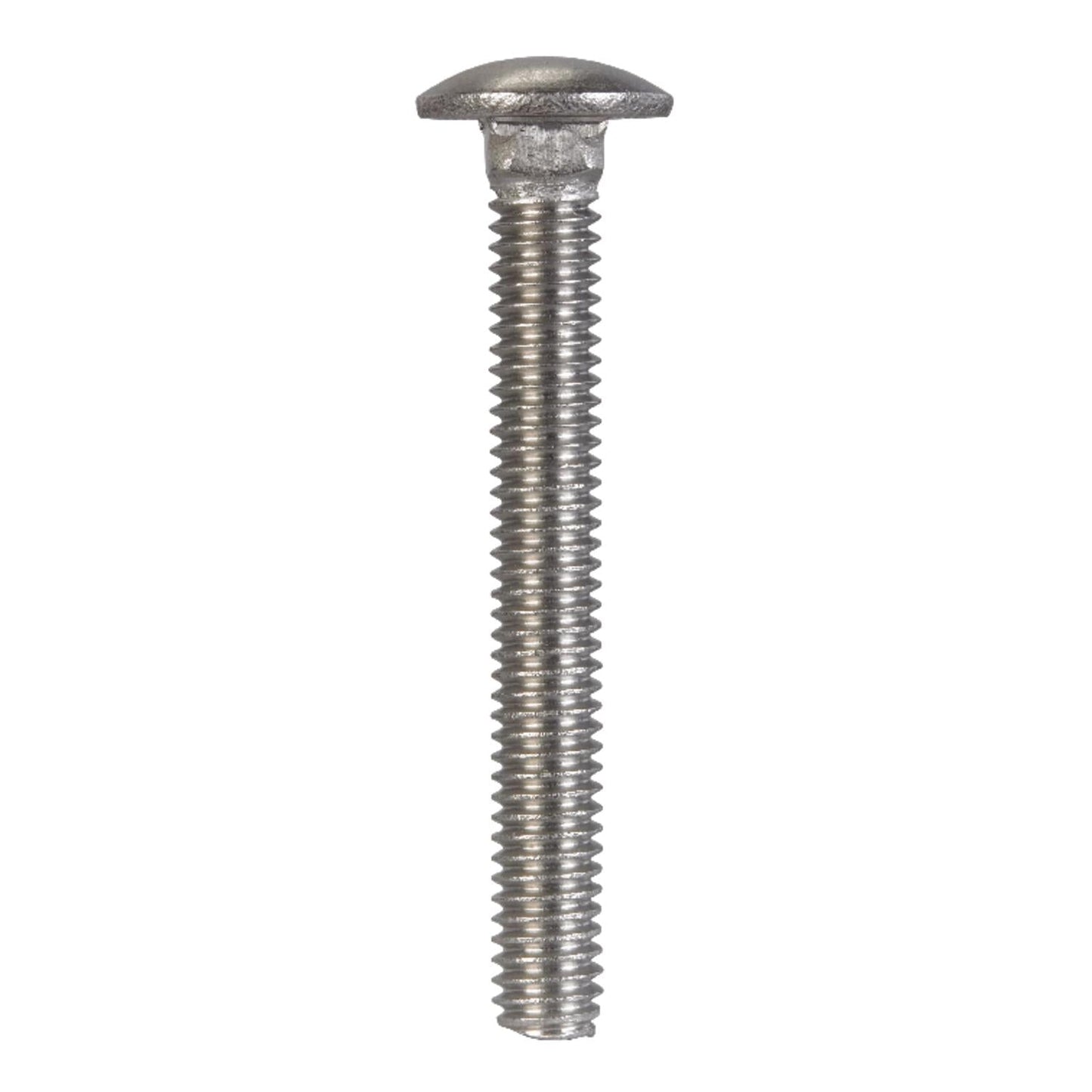Hillman 5/16 in. x 2-1/2 in. Stainless Steel Carriage Bolt, 25-Pack
