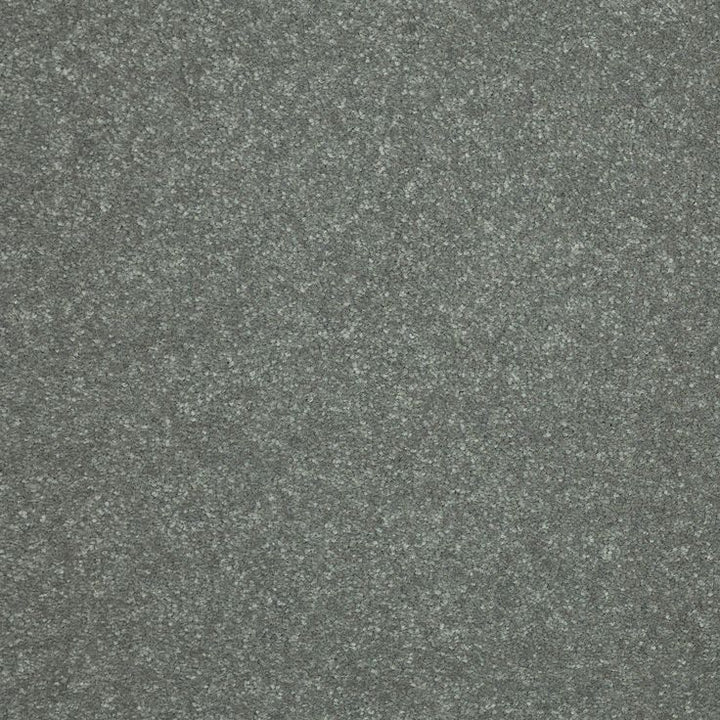 STAINMASTER Essentials Intuition III 12-ft Thunder Cloud Textured Carpet Sample (Interior)