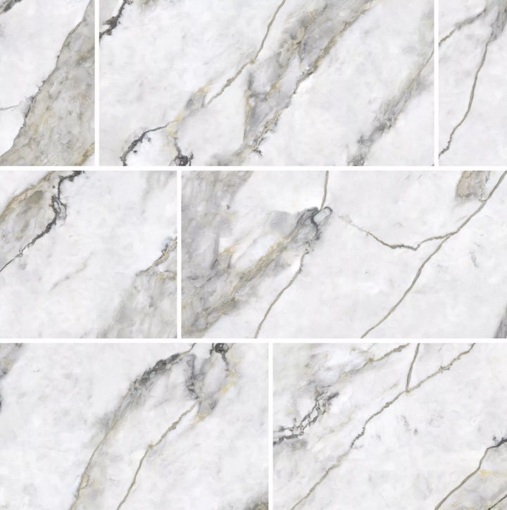Alamina Grigio Polished Porcelain Tile