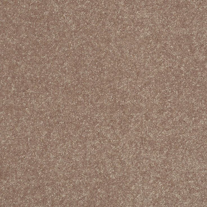 STAINMASTER Essentials Intuition III 12-ft Outer Banks Textured Carpet Sample (Interior)