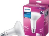 Philips 100-Watt Equivalent BR30 Dimmable Energy Saving LED Light Bulb in Daylight (5000K) (1-Bulb)