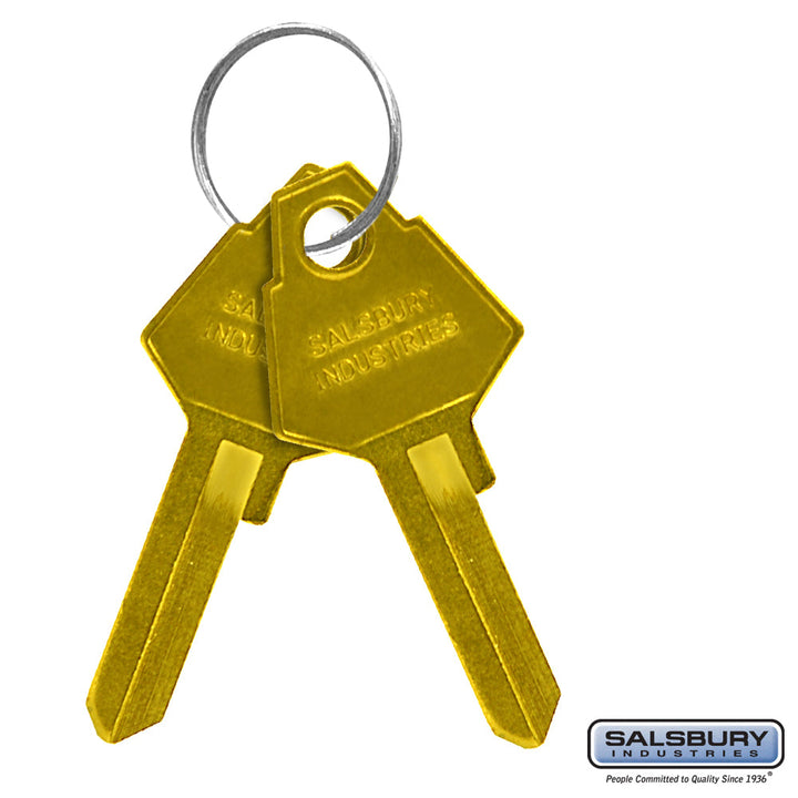 Key Blanks for Standard Locks of Aluminum Mailboxes - Box of 50
