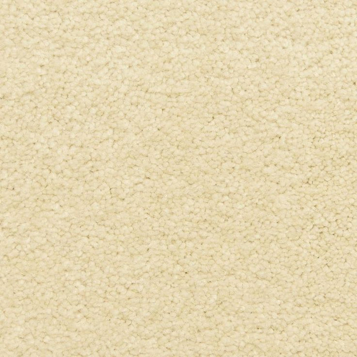STAINMASTER LiveWell Fairy-Tale Cottontale Textured Carpet Sample (Interior)